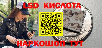 шишки Гусев