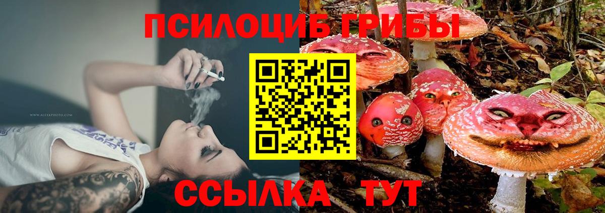 Галлюциногенные грибы Psilocybine cubensis Мыски