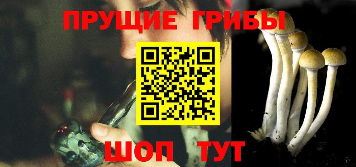 Псилоцибиновые грибы прущие грибы  Вход с VPN  Мыски 